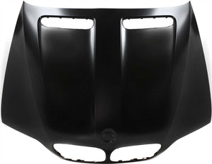 X5 04-06 HOOD