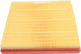 LACROSSE 10-16 / REGAL 11-17 AIR INTAKE FILTER