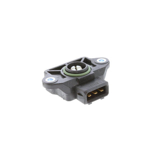Throttle Position Sensor
