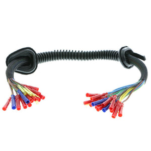 Body Wiring Harness