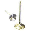 Exhaust Valve