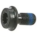 Flywheel Bolt