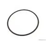 HEADLIGHT SEAL