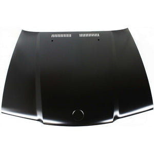 Hood For 1992-1999 BMW 3-Series Convertible/Coupe Replacement B193