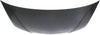RSX 02-06 HOOD