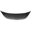 TAURUS 08-09 HOOD, Steel