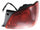 GS300 01-05 TAIL LAMP RH, Outer, Assembly