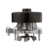 Engine Water Pump
