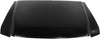 F-SERIES SUPER DUTY 99-07 HOOD