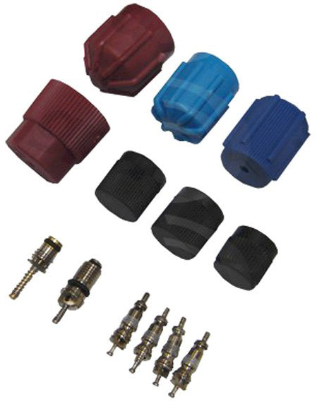 Cap and Valve Kit