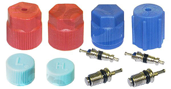 Cap and Valve Kit