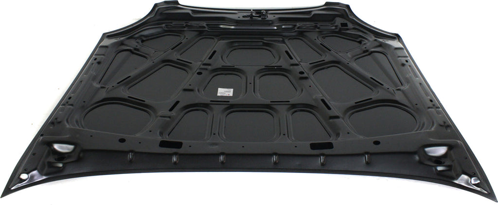 SONATA 99-01 HOOD