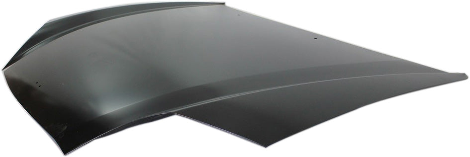 TIBURON 03-06 HOOD