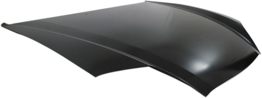 TIBURON 03-06 HOOD