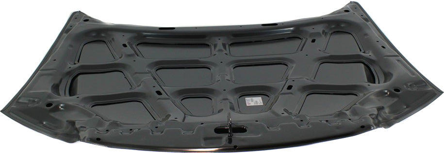 TIBURON 03-06 HOOD