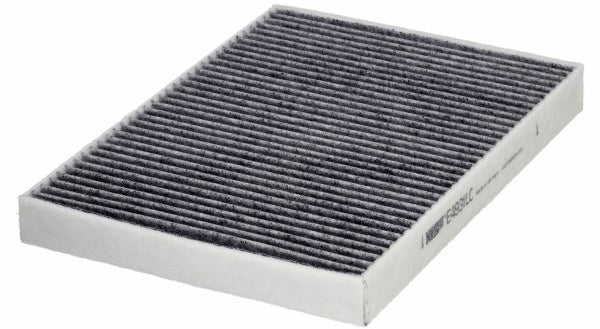 Cabin filter - Charcoal