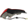 SPECTRA 00-04 TAIL LAMP RH, Assembly, Sedan