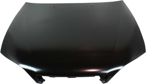 ES300 97-01 HOOD