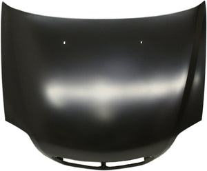 SABLE 00-05 HOOD