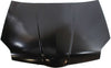 GALANT 04-08 HOOD, Steel, USA Type