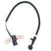 Engine Crankshaft Position Sensor