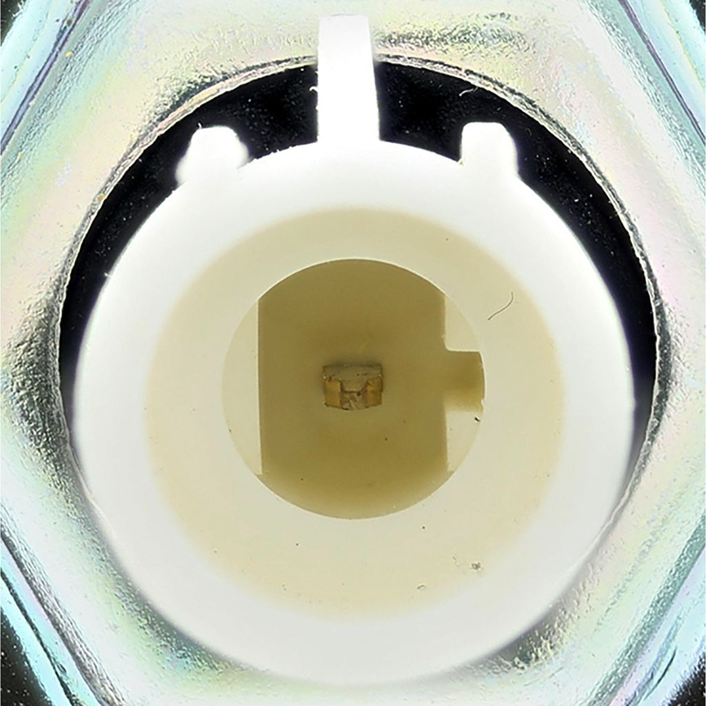 Ignition Knock (Detonation) Sensor