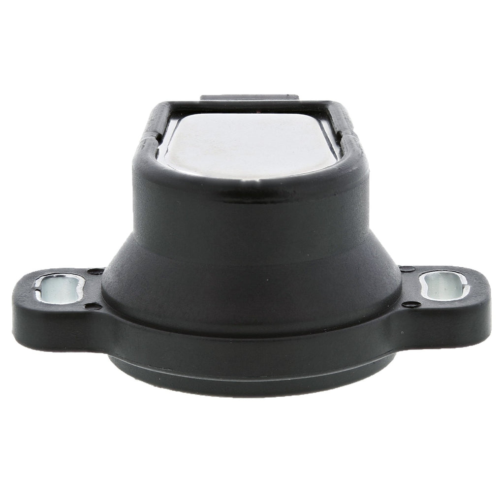 Throttle Position Sensor