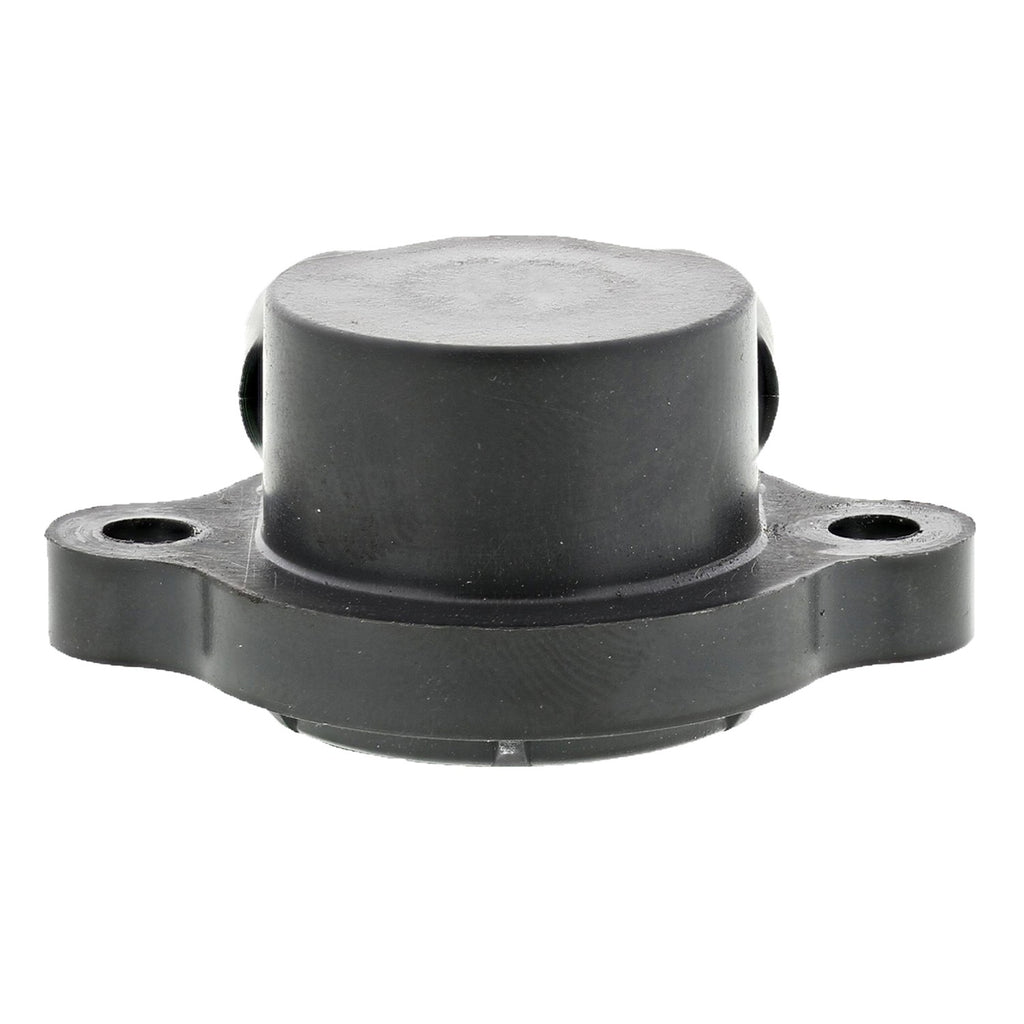 Throttle Position Sensor