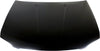 SENTRA 04-06 HOOD, Steel