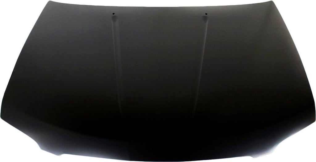 SENTRA 04-06 HOOD, Steel