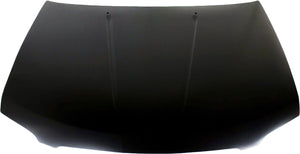 SENTRA 04-06 HOOD, Steel
