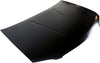 SENTRA 04-06 HOOD, Steel