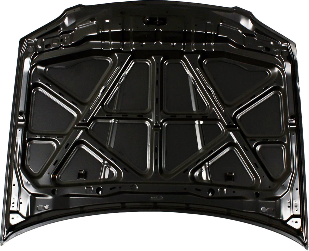 SENTRA 04-06 HOOD, Steel