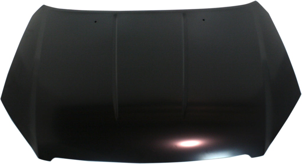 ALTIMA 05-06 HOOD, Steel