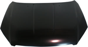 ALTIMA 05-06 HOOD, Steel