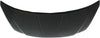 ALTIMA 05-06 HOOD, Steel