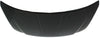 ALTIMA 05-06 HOOD, Steel