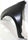 SENTRA 07-12 FRONT FENDER LH, Primed, SR/SE-R/SE-R Spec V Models