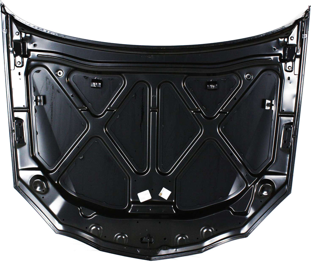 GRAND PRIX 04-08 HOOD