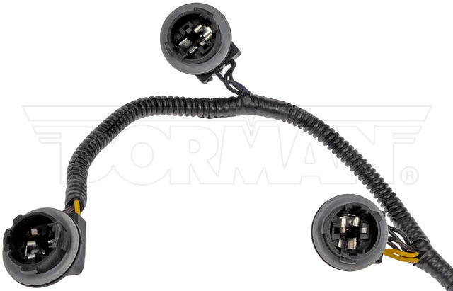 Socket