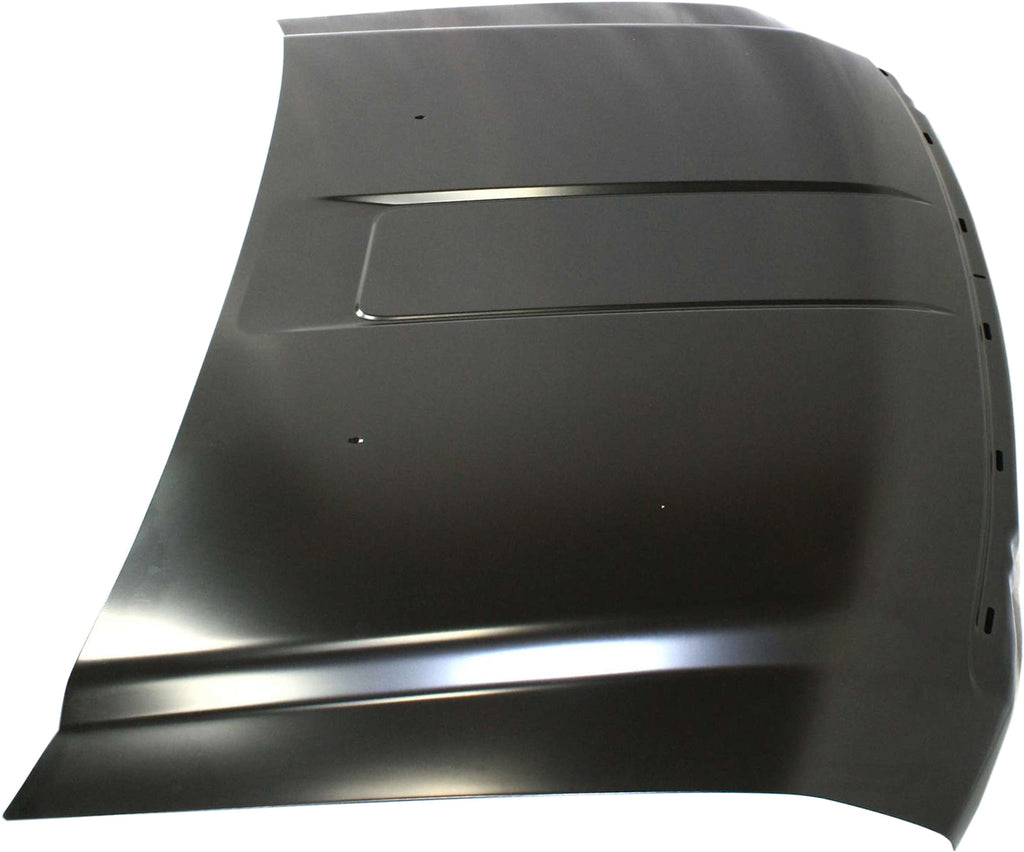 F-SERIES SUPER DUTY 08-10 HOOD, Steel