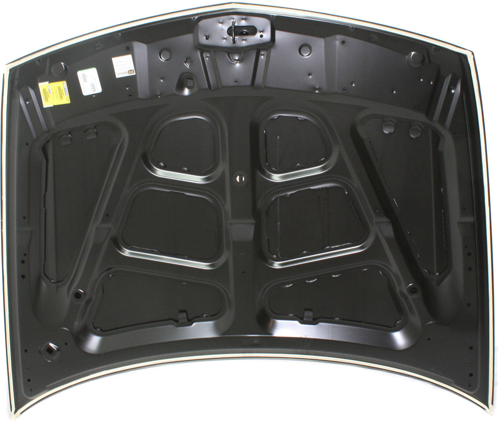 TSX 09-14 HOOD - CAPA