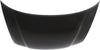 A4 99-02 HOOD