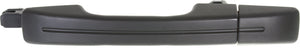 TL 04-08 REAR EXTERIOR DOOR HANDLE LH, Primed Black, Plastic