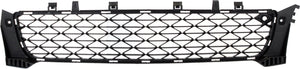 REGAL 12-17 FRONT BUMPER GRILLE, Lower, Insert, Black, GS Model
