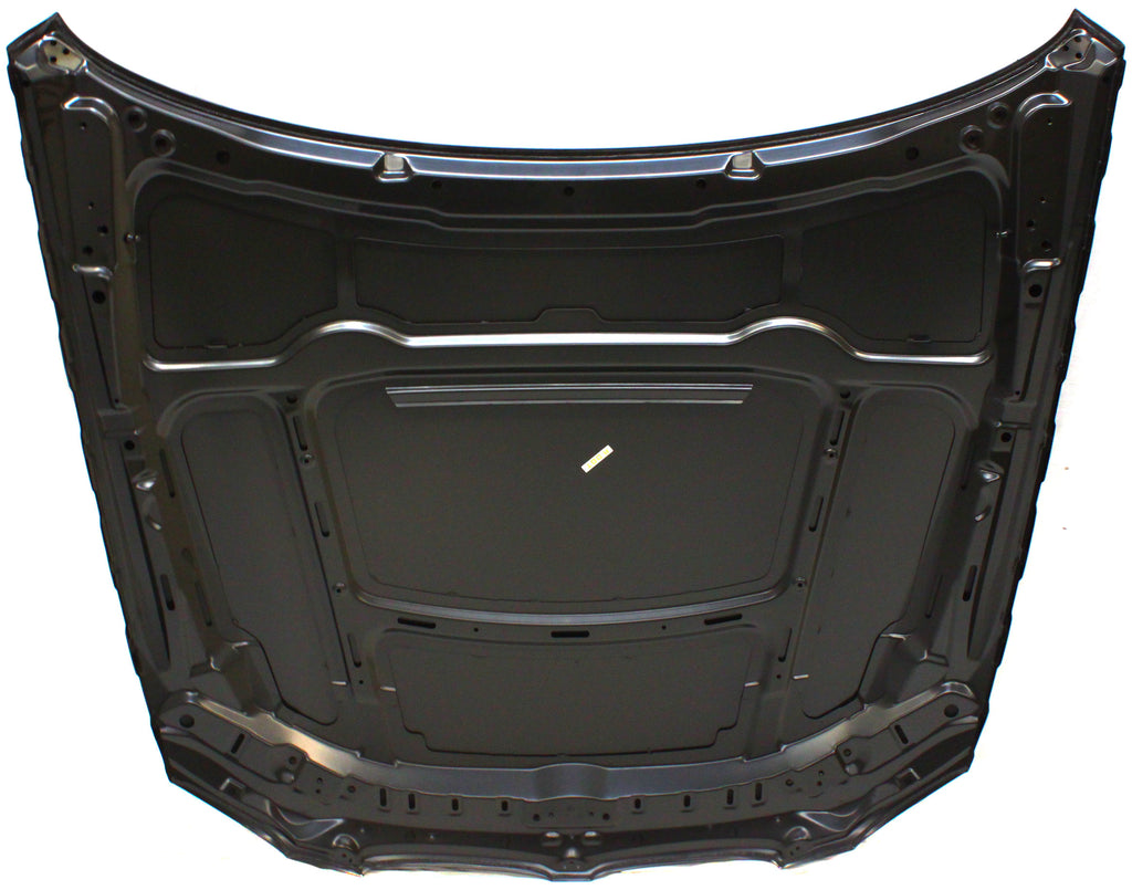 BM1230128 Hood For 2007-2010 BMW 3-Series 3.0L Eng Convertible Coupe Replacement REPB130102