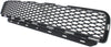 COLORADO 05-08 FRONT BUMPER GRILLE, Center, Lower, Black, w/ Extreme Model