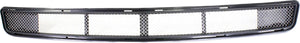 STS 05-06 FRONT BUMPER GRILLE, Lower