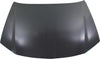CHRYSLER 300 11-22 HOOD, Steel
