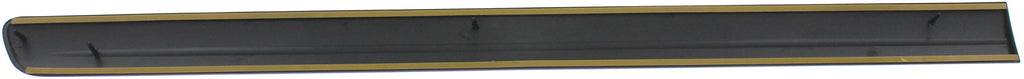 CARAVAN/GRAND CARAVAN/TOWN AND COUNTRY 05-07 FRONT DOOR MOLDING RH, Primed
